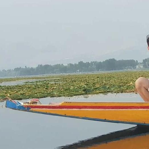 Green View Group Of Houseboats Srīnagar Buitenkant foto
